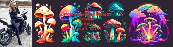 гидра Корсаков
