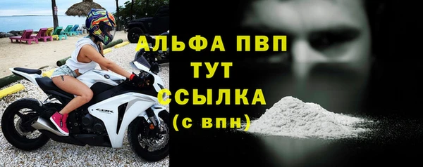 гидра Корсаков