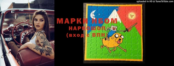 гидра Корсаков