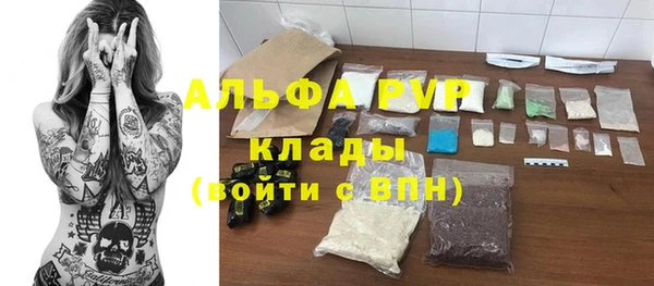 гидра Корсаков
