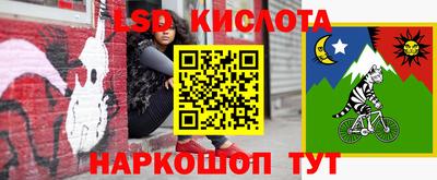 стаф Обнинск