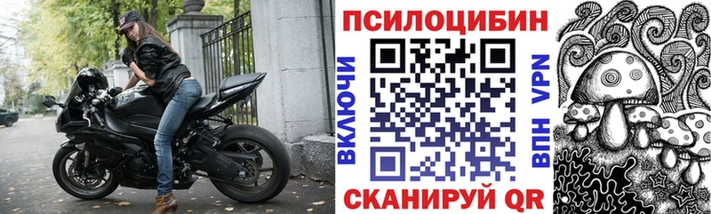 Галлюциногенные грибы Psilocybine cubensis  купить  цена  блэк спрут онион  Кондопога 