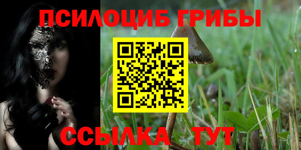 Псилоцибиновые грибы MAGIC MUSHROOMS Кондопога